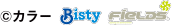 (C)カラー　(C)Bisty　(C)FieLDS