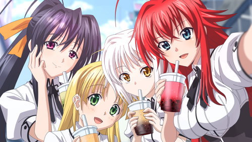ハイスクールD×D２　ハーレム王に俺はなるの