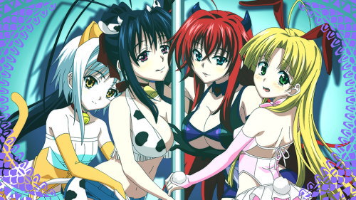 ハイスクールD×D２　ハーレム王に俺はなるの