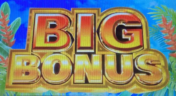 スマスロ トロピカーナのBIG