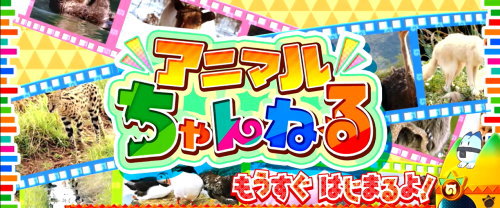 ぱちすろ けものフレンズ参考画像
