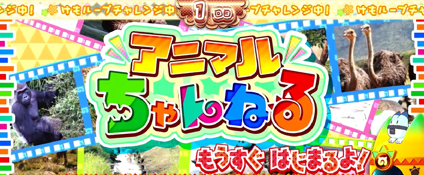 ぱちすろ けものフレンズ参考画像