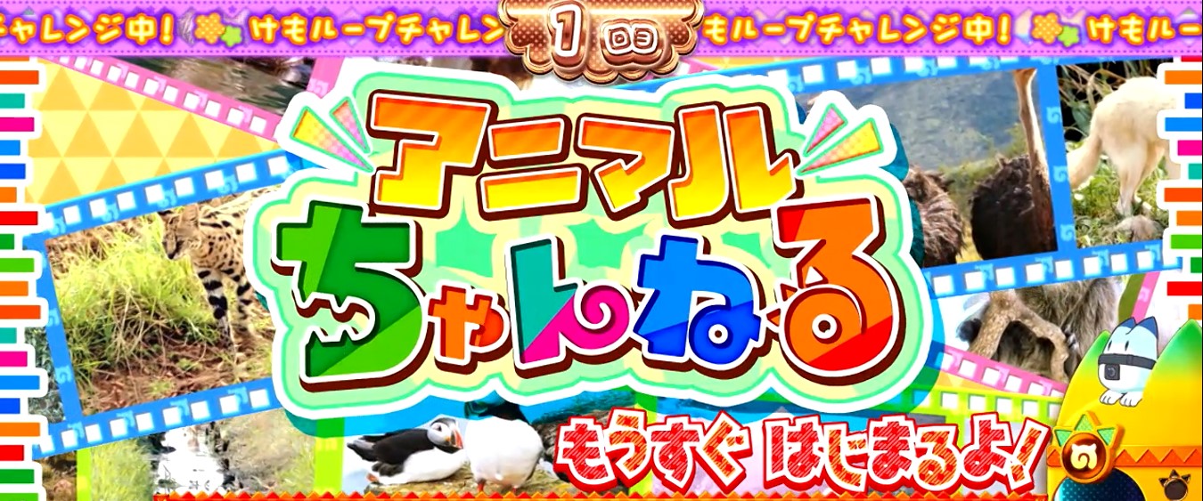 ぱちすろ けものフレンズ参考画像