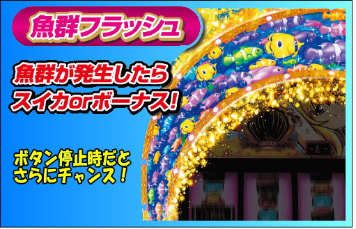 ＳLucky海物語の魚群フラッシュ(魚群は発生したらスイカorボーナス/ボタン停止時だとさらにチャンス！)