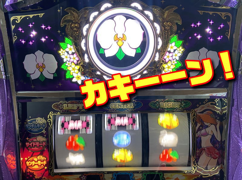 マイフラワー2のカキーン告知