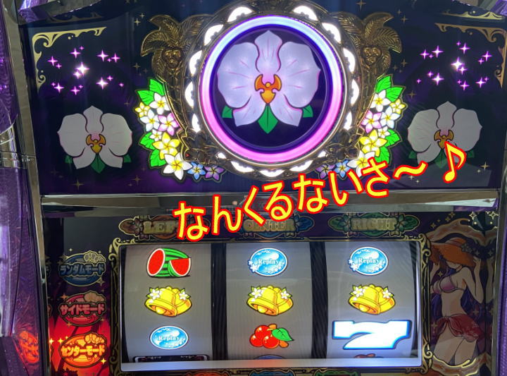 マイフラワー2のセリフ演出