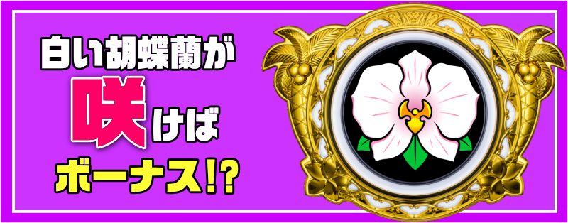 マイフラワー2のボーナス告知