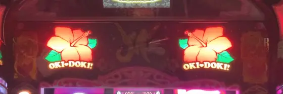 沖ドキ！BLACKのハイビスカス点滅
