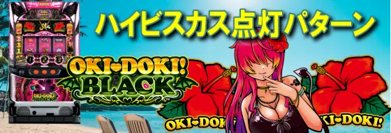 沖ドキ！BLACKのハイビスカス点滅パターン
