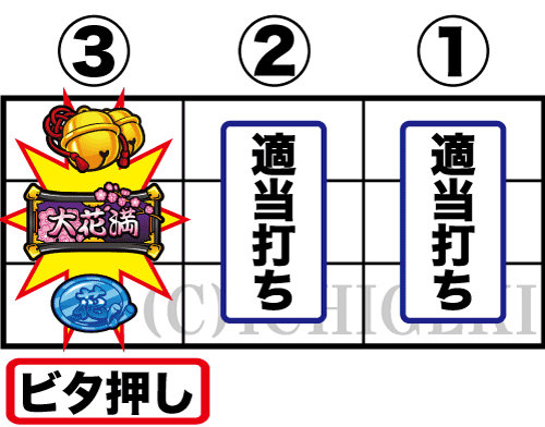 Ｓ大花満ＳＢの