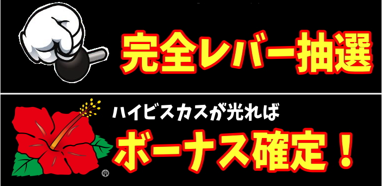 スーパーハナハナの