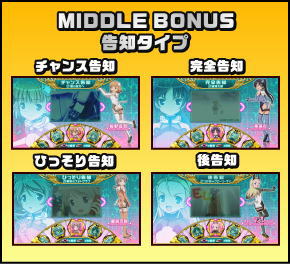 スカイガールズ～ゼロノツバサ～の告知タイプ