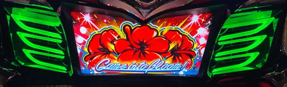 スマート沖スロ　スターハナハナのフェザーランプ緑