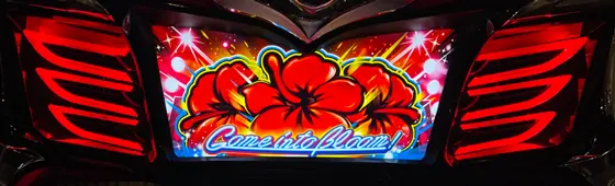 スマート沖スロ　スターハナハナのフェザーランプ赤
