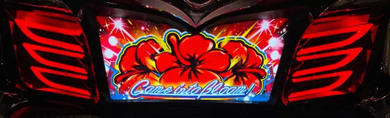 スマート沖スロ　スターハナハナのフェザーランプ赤