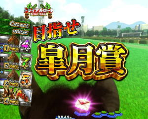 P GⅠDREAMROADのトライアルレースの画像