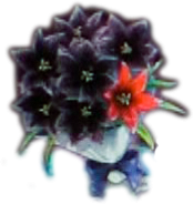 パチンコPひぐらしのなく頃に～蕾～の黒い薔薇束保留