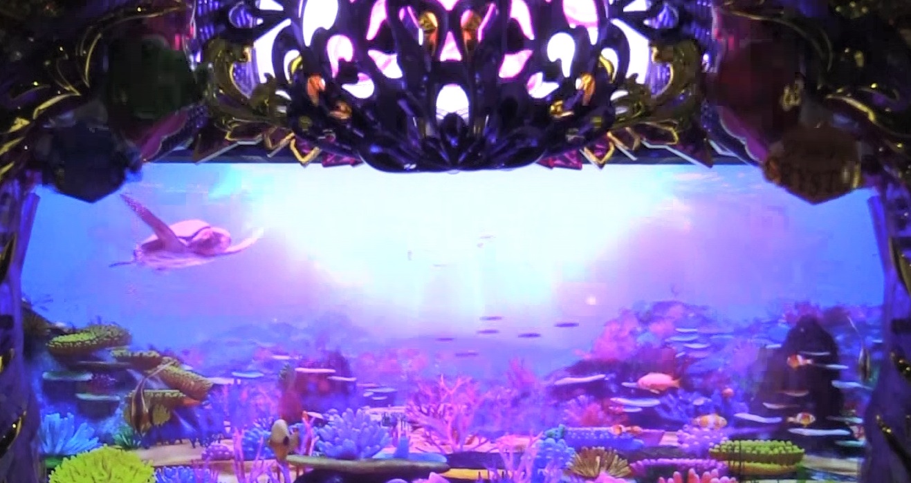 P大海物語4スペシャルBLACKの船長前兆画像
