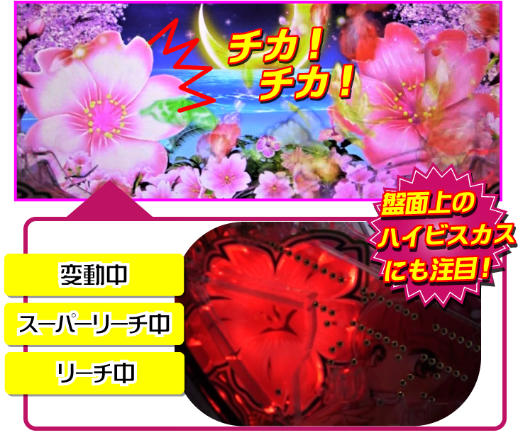 パチンコPスーパー海物語 IN 沖縄5 桜ver.199の桜ビスカス演出の画像