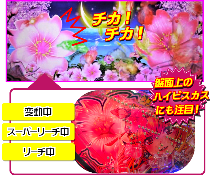 パチンコPスーパー海物語 IN 沖縄5 桜ver.319の桜ビスカス演出の画像