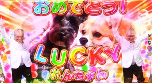 パチンコPyes!高須クリニック青天 はじまりは4500のドバイの犬画像