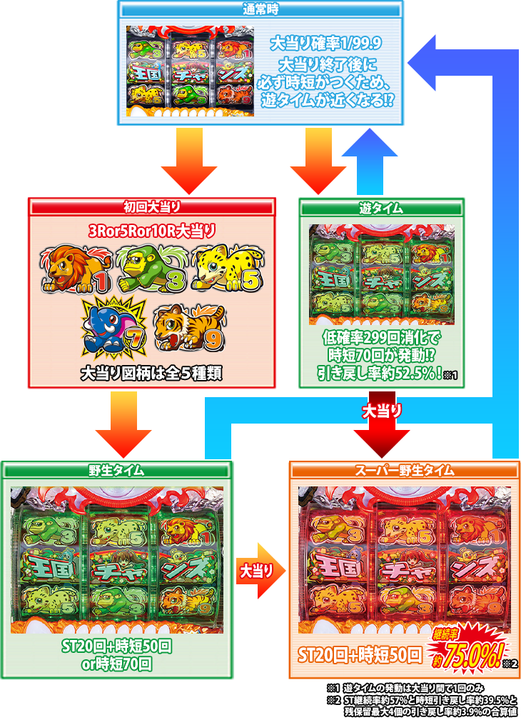 PA野生の王国～どらむサファリ～のゲームフロー