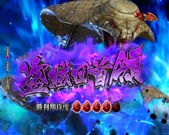 盗賊団首領