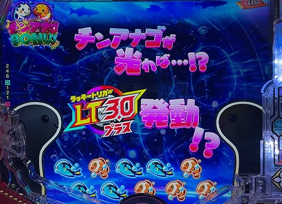 チンアナゴBONUS