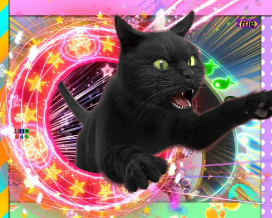 にゃんこカットイン予告