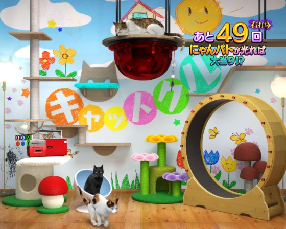 キャットクル予告