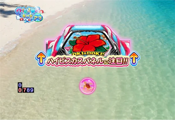 ハイビスカスモード画面