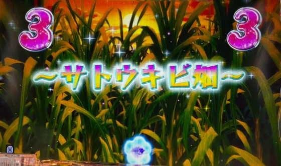 ロングSPリーチサトウキビ畑