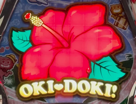 ハイビスカス点灯