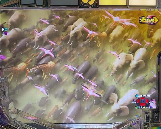 サバンナの夜明け（即当たり）