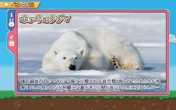RB中のキャラ紹介：実写ホッキョクグマ