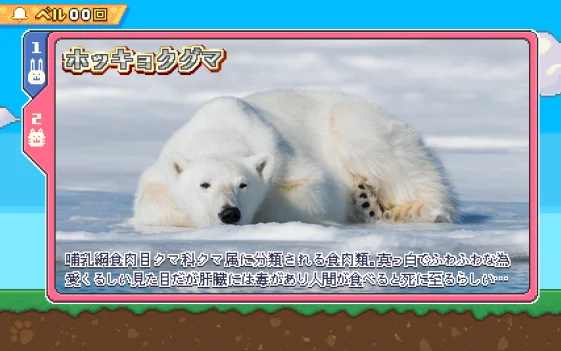 REG中ホッキョククマ