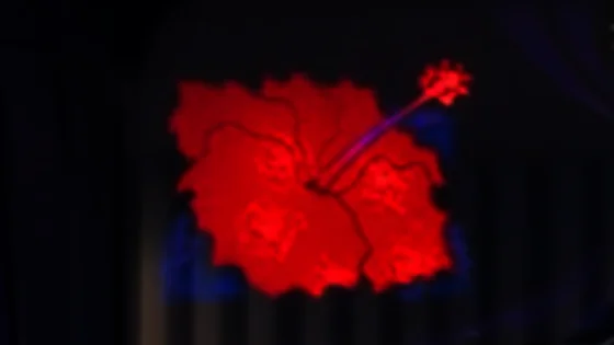 プレミアム点滅：花びらのみ点滅