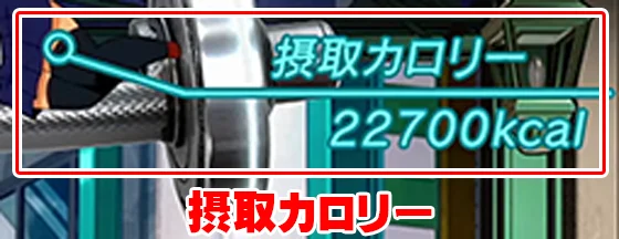 ダンベル何キロ持てる スロットの摂取カロリー