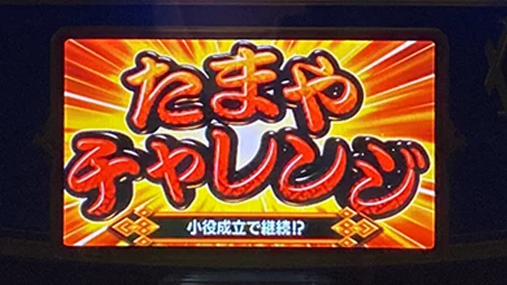 たまやチャレンジ