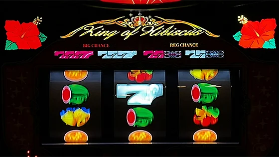 ハイビスカス点滅時