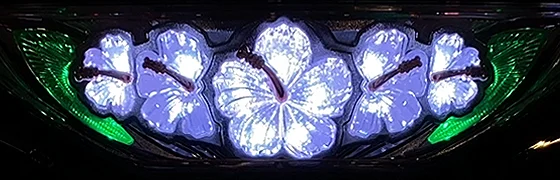 ハイビスカスランプ（白）