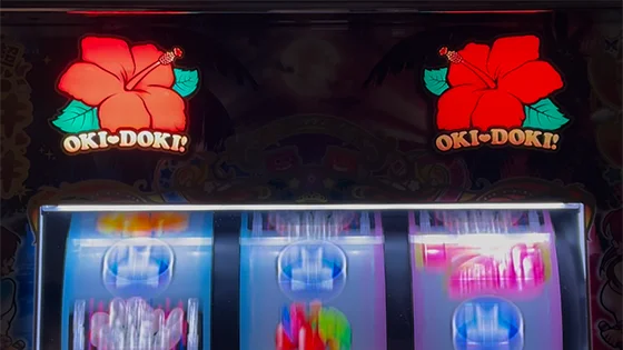 ハイビスカスランプ点灯時