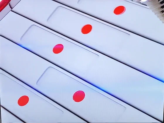 点棒の色(白)