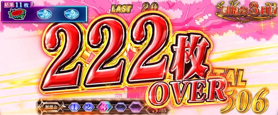 222枚表示