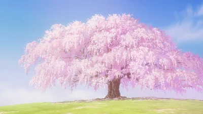 わたしの幸せな結婚のボーナス終了画面（桜）