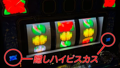 ハイビリターン-30の隠しハイビスカス