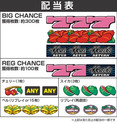 ハイビリターン-30の配当画像