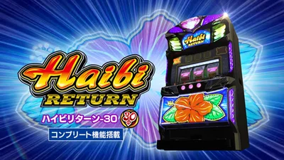 ハイビリターン-30のサムネイル画像