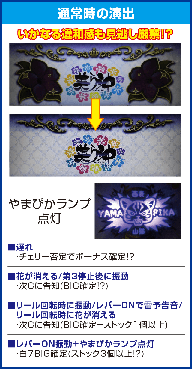 超AT 美ら沖のピックアップ