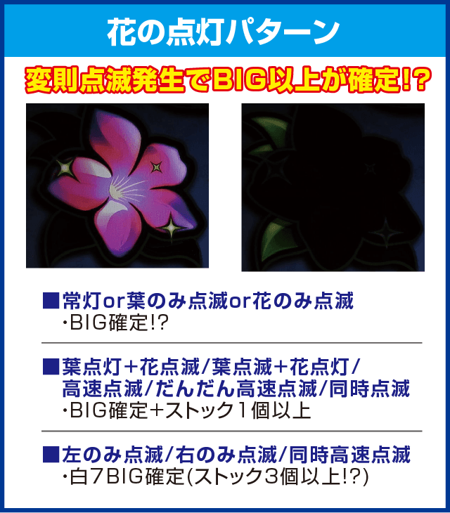 超AT 美ら沖のピックアップ